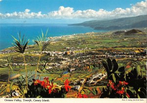 B108416 Spain Tenerife Orotava Valley Canary Islands real photo uk