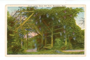 MA - Worcester. Green Hill Park, Grape Arbor