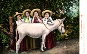 Four Queens and a Jack - Pretty Girls and a Donkey - c1905