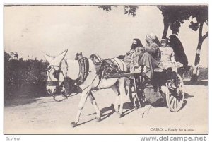 Donkey cart, Arab family ready for a ride, 00-10s