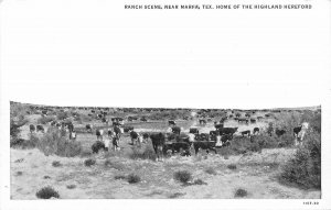 RPPC Postcard Texas Marfa Ranch Scene Highland Hereford Teich 23-4597