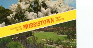 MORRISTOWN NJ GREETINGS 2 VIEWS FLOWERS & GARDEN UNUSED CHROME POSTCARD