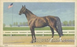Mr. McElwyn Horse 1940 light wear, postal used 1940