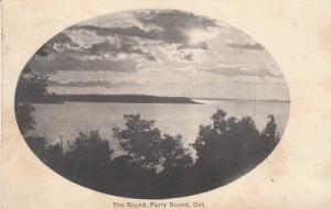 E1306 Canada, Parry Sound View Postcard