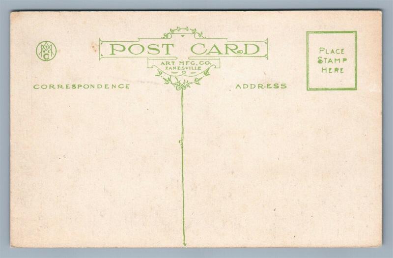 HILLSBORO NH EXAGGERATED POTATOES ANTIQUE POSTCARD