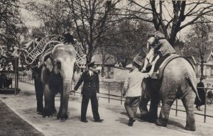 Elephant Riding London Zoo Real Photo & Keeper Postcard