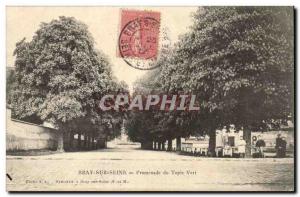 Bray sur Seine Postcard Old Promenade green carpet