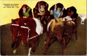 Monkeys Riding on Ponies, Forest Park Zoo St Louis MO c1946 Vintage Postcard J52