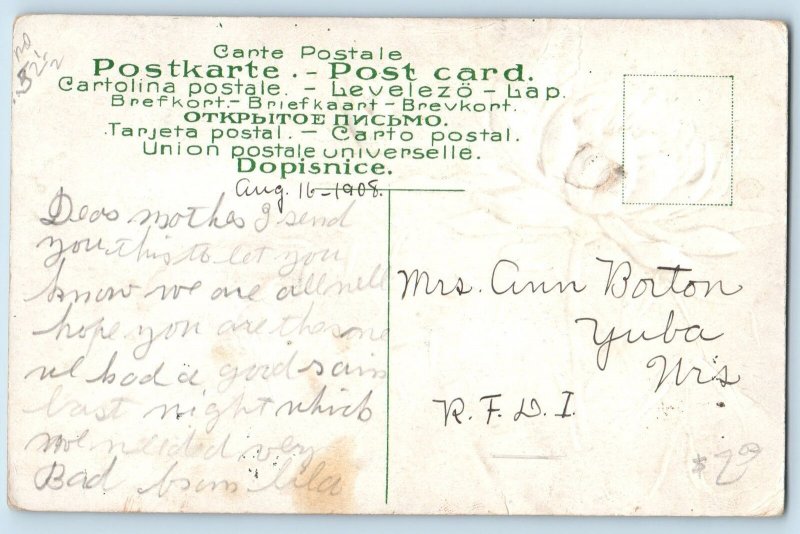 c1908 Greetings From Millston Flower Glitters Wisconsin Correspondence Postcard
