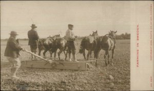 Farming in Sweden - Horses Pull Plow c1905 Crisp Real Photo Postcard