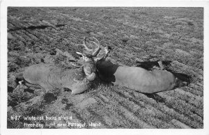 J67/ Farragut Idaho RPPC Postcard c40s Deer Hunting Bucks Tangled Rack 49