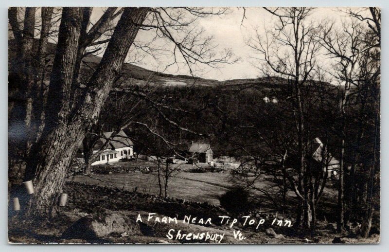 Shrewsbury Vermont~Farm near Tip Top Inn~House & Barn~Buckets on Tree~1946 RPPC 