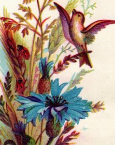 1880s Embossed Victorian Bookmark Blue Corn Flower Lovely Bird #6L