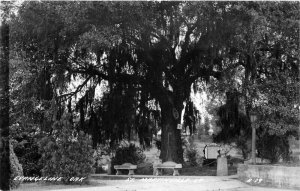 St, Martinsville Louisiana Evangeline Oak 1940s RPPC Photo Postcard 21-12762