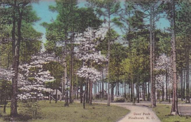 North Carolina Pinehurst Deer Park Handcolored Albertype