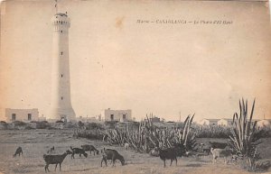 Maroc, Casablanga Le Phare D El Heank Postcard