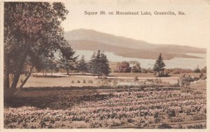 Greenville Maine Squaw Mtn. On Moosehead Lake, Divided Back Vintage PC U8333