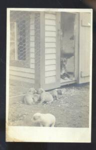 RPPC PINE BLUFF ARKANSAS DOG DOGS PUPPY FARM REAL PHOTO POSTCARD BLUFFS ARK.