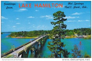 Arkansas Hot Springs Greetings From Lake Hamilton