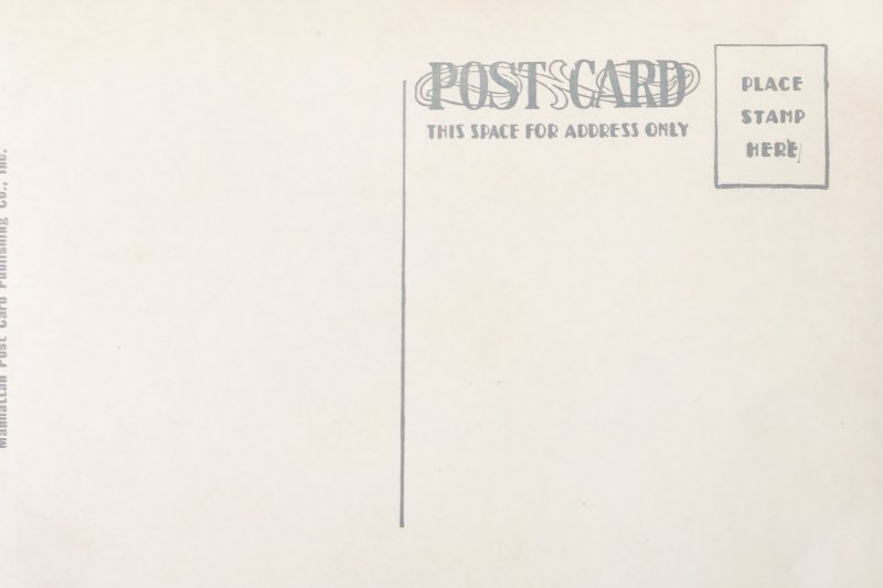 Hotel Taft  New York #39A