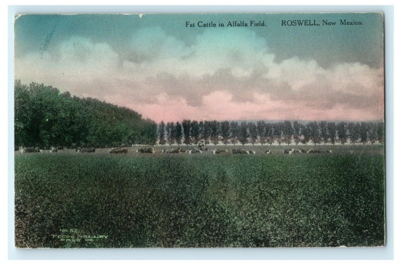 1910 Fat Cattle in Alfalfa Field Roswell New Mexico Handcolored NM RPO Postcard