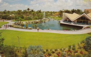 Florida Tampa Parrots Eye View Of Busch Gardens Hospitality House