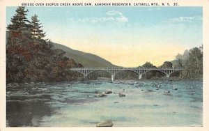 Bridge over Esopus Creek Ashokan Dam, New York