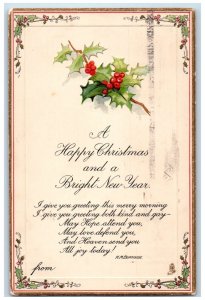 1910 Christmas And New Year Message Burnside Holly Berries Tuck's Postcard