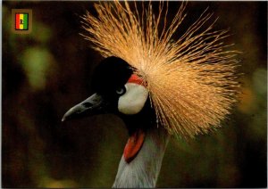 VINTAGE CONTINENTAL SIZE POSTCARD HEAD OF RWANDAN CRANE CENTRAL AFRICA + STAMPS 