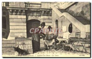 Scenes COPY Parisian Dogs Clipper Shearing Dogs