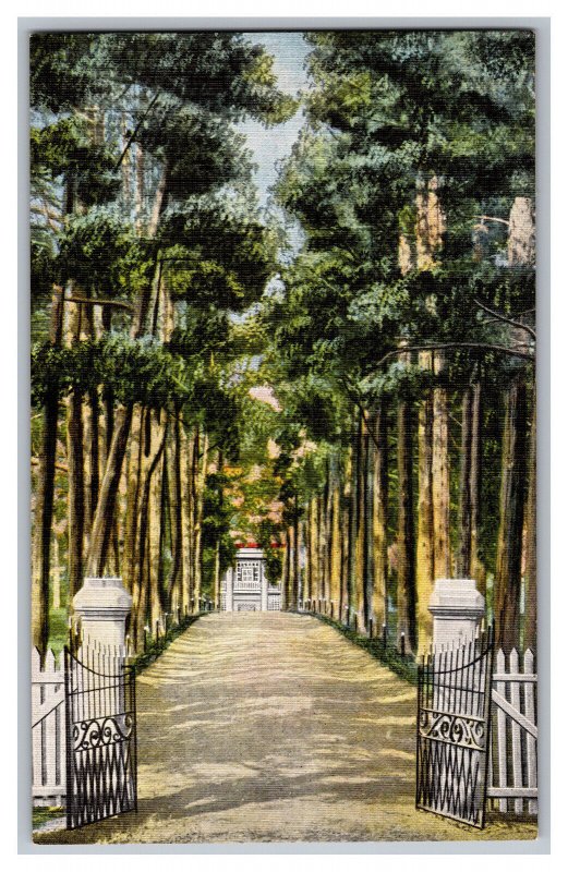 Postcard TN The Hermitage Entrance Home Of General Jackson Heritage Tennessee