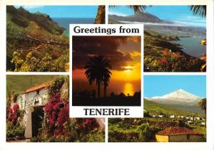 BT7366 tenerife    Spain