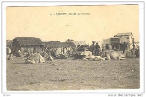 Camels, Marche Aux Chameaux, Djibouti, Africa, PU-1912