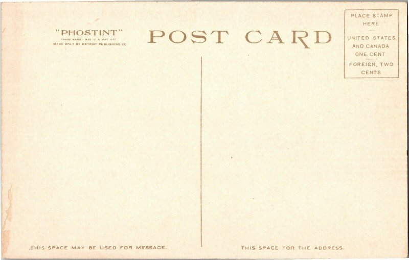 River Drive at Ormond FL Phostint Vintage Postcard S25