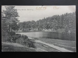 Surrey DORKING Friday Street c1904 Old Postcard by Valentine 37976