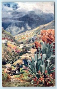 CAPE TOWN, South Africa ~ TWELVE APOSTLES 1907 ~ Tuck Oilette Postcard