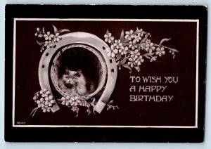 Birthday Postcard RPPC Photo Horseshoe Cat Kitten Flowers c1910's Antique