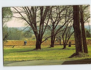 Postcard Potato Planting Gethsemani Abbey Trappist Kentucky USA