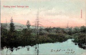 Massachusetts Sadawaga Lake Floating Island 1906