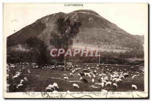 Old Postcard Sheep Beach at the foot of the Puy de Dome