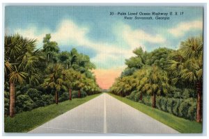 c1940 Palm-Lined Ocean Highway Road Oak Trees Savannah Georgia Vintage Postcard 