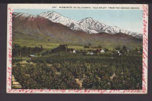 Midwinter in California, Old Baldy from the Orange Groves pm1931 ~ WB