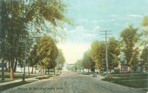 Pittsfield Maine Main St Looking North Litho Postcard Unused, Houses