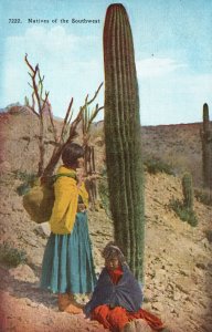 Vintage Postcard 1910's Indians Natives of the Southwest Giant Cactus Plant IND