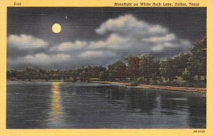 White Rock Lake Moonlight - Dallas, Texas TX  