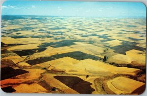 Aerial View, Camas Prairie B/t Lewiston and Grangeville ID Vintage Postcard B80