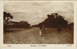 PC CPA LEBANON, BEYROUTH, PINE FOREST, Vintage REAL PHOTO Postcard (b23143)