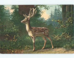 Divided-Back FALLOW DEER Postmarked Homestead Pennsylvania PA E6624