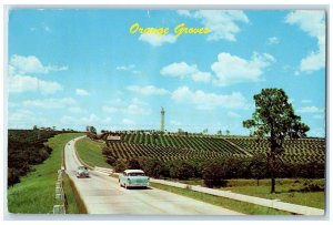 1963 Scenic View Orange Groves Classic Cars Road Plant City Florida FL Postcard