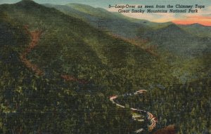 Vintage Postcard One Of Many Curves Newfound Gap Highway Great Smoky Mountains
